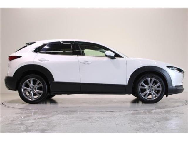 ＣＸ－３０（新潟県新潟市東区）画像14