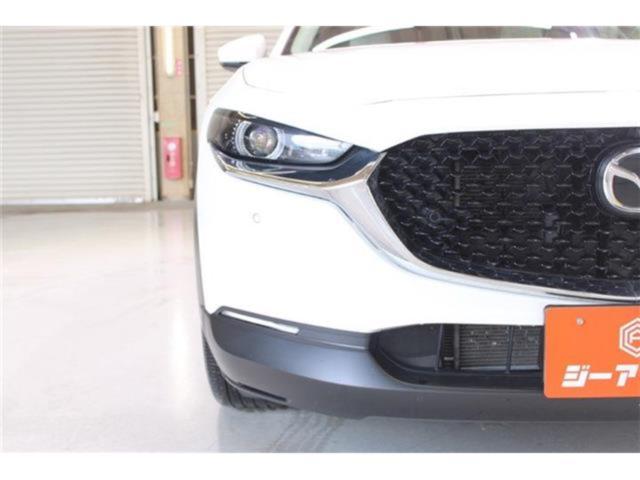 ＣＸ－３０（新潟県新潟市東区）画像17