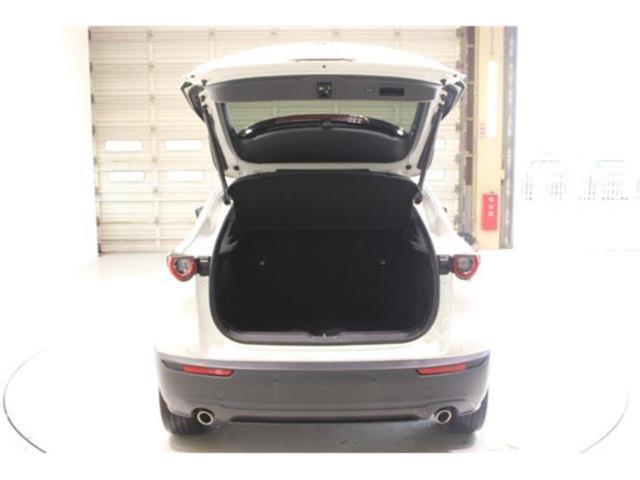 ＣＸ－３０（新潟県新潟市東区）画像32