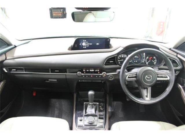 ＣＸ－３０（新潟県新潟市東区）画像44