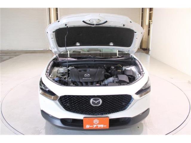 ＣＸ－３０（新潟県新潟市東区）画像70