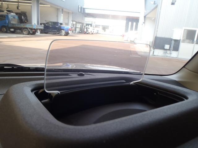 フレアワゴン（新潟県新発田市）画像12