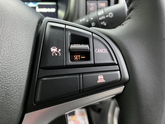 ハスラー（新潟県新潟市西蒲区）画像50