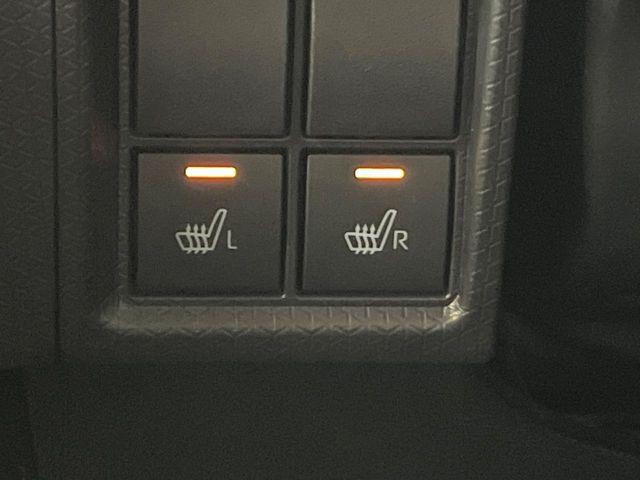 タント（新潟県新潟市東区）