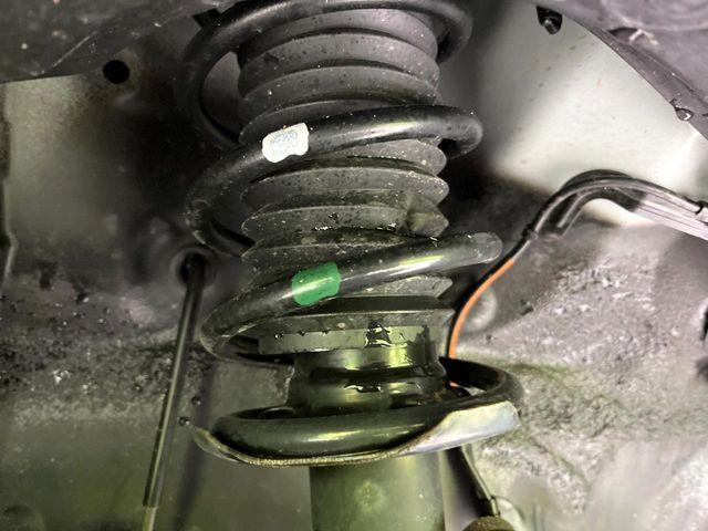 タフト（新潟県新潟市東区）画像20