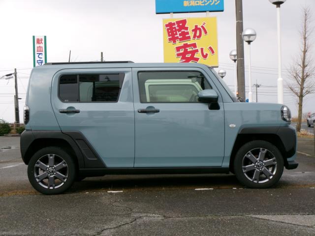 タフト（新潟県新潟市秋葉区）画像2