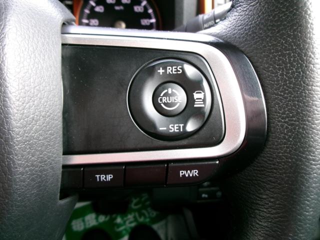 タフト（新潟県新潟市秋葉区）画像17