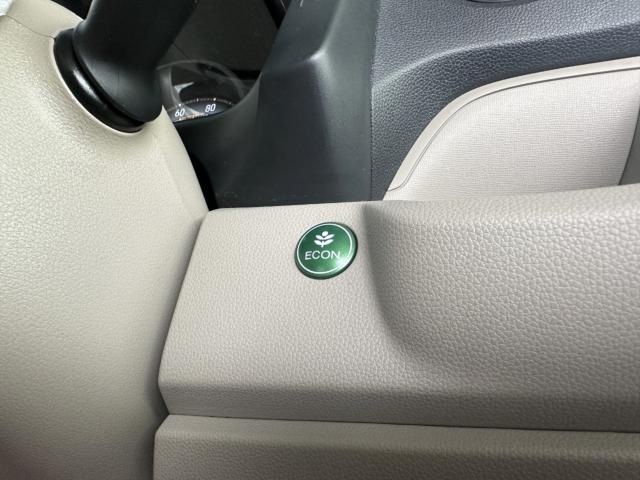 N-WGN(新潟県長岡市)