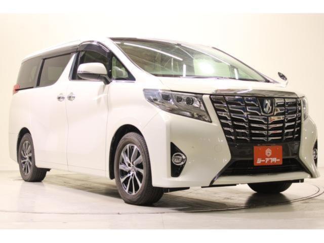 アルファード（新潟県新潟市東区）