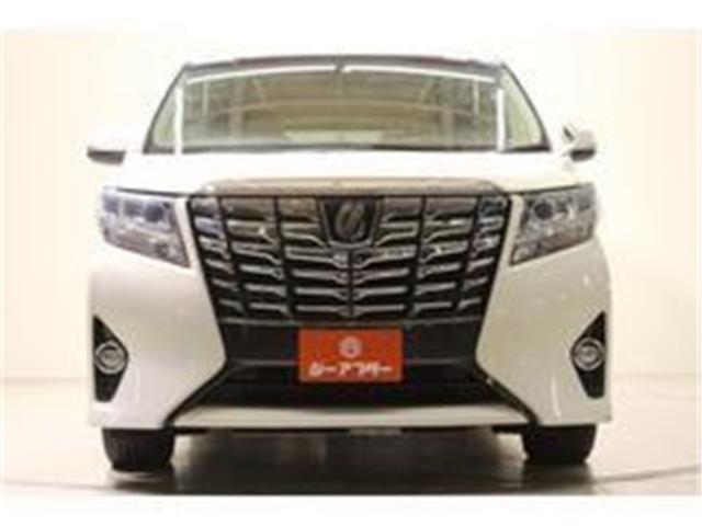 アルファード（新潟県新潟市東区）