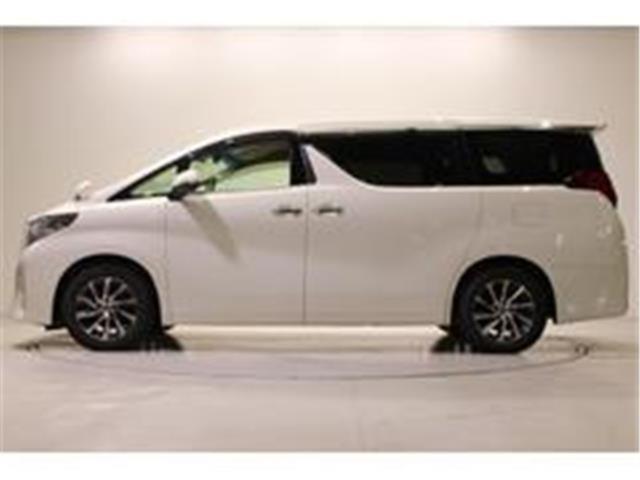 アルファード（新潟県新潟市東区）