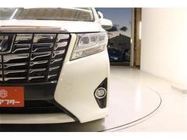 アルファード（新潟県新潟市東区）