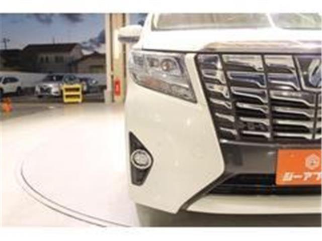 アルファード（新潟県新潟市東区）