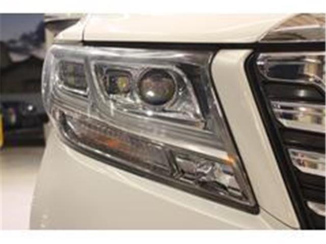 アルファード（新潟県新潟市東区）