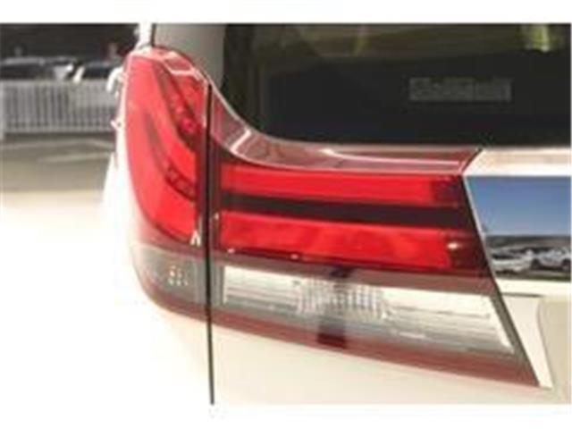 アルファード（新潟県新潟市東区）