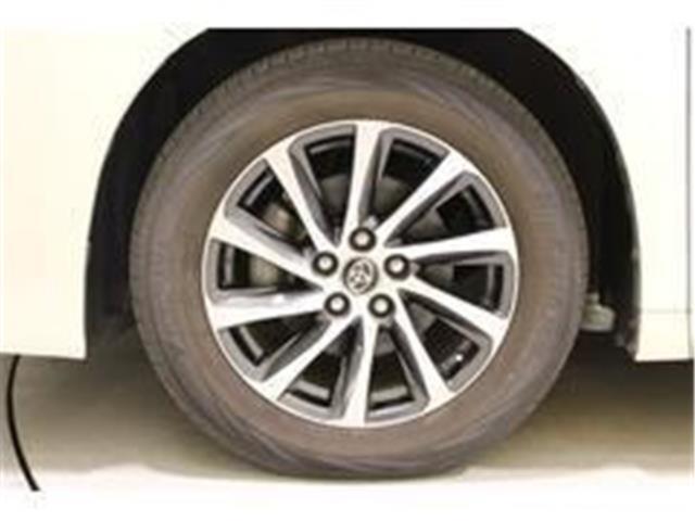 アルファード（新潟県新潟市東区）