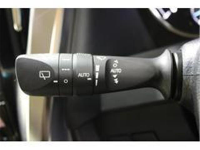 アルファード（新潟県新潟市東区）