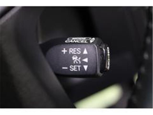 アルファード（新潟県新潟市東区）