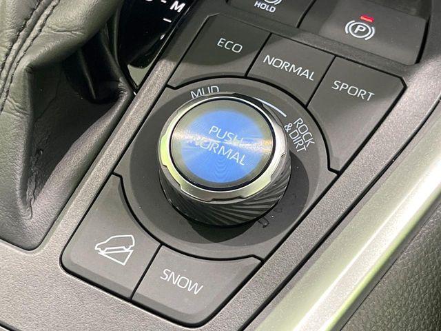 ＲＡＶ４（新潟県長岡市）画像69