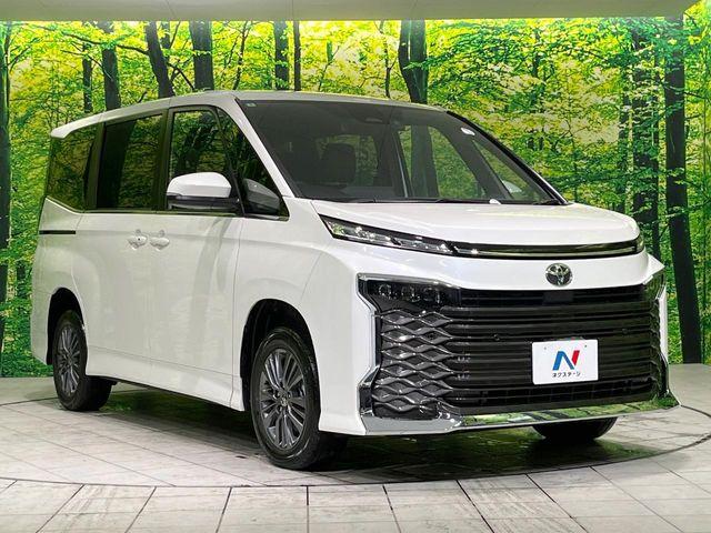 ヴォクシー（新潟県長岡市）