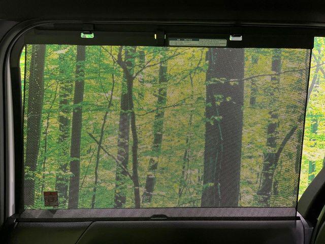 ヴォクシー（新潟県長岡市）