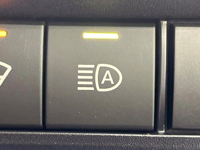 ヴォクシー（新潟県長岡市）