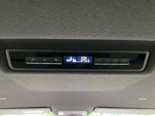 ヴォクシー（新潟県長岡市）