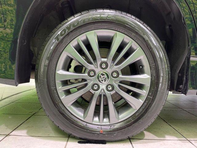 ヴォクシー（新潟県長岡市）