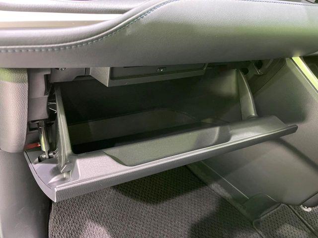 ヴォクシー（新潟県長岡市）