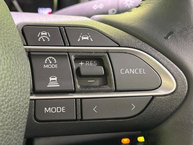 ヴォクシー（新潟県長岡市）