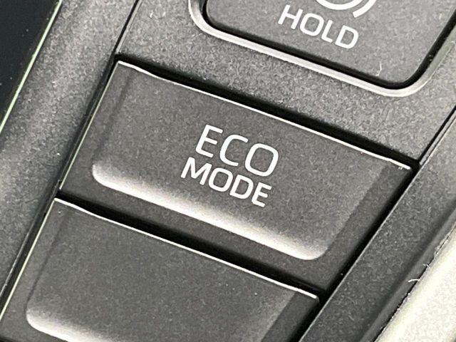 ヴォクシー（新潟県長岡市）