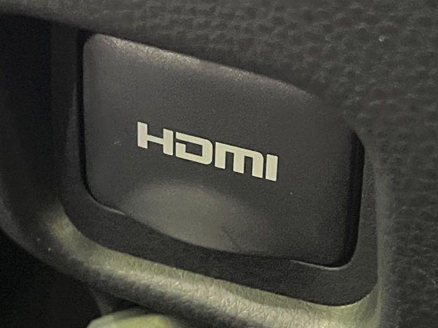 ヴォクシー（新潟県長岡市）