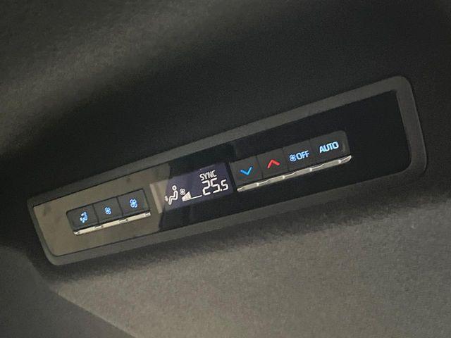 ヴォクシー（新潟県長岡市）