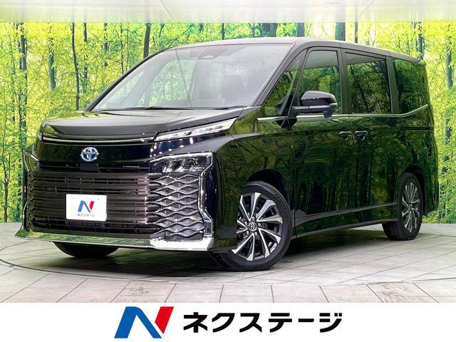 ヴォクシー（新潟県新潟市東区）