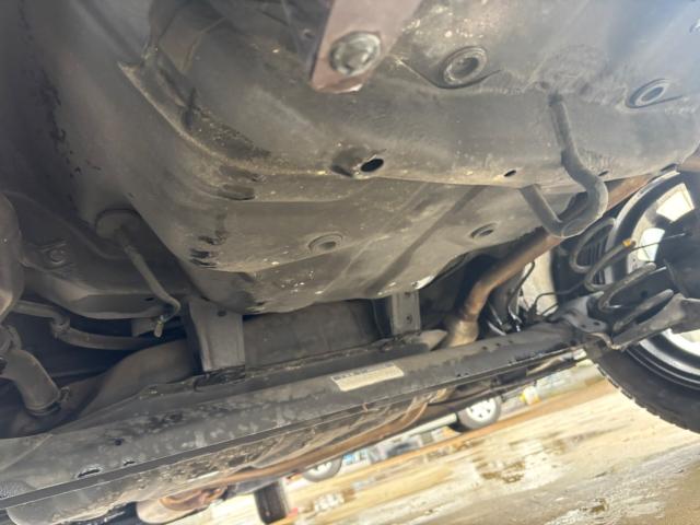 タント（新潟県新潟市北区）画像15