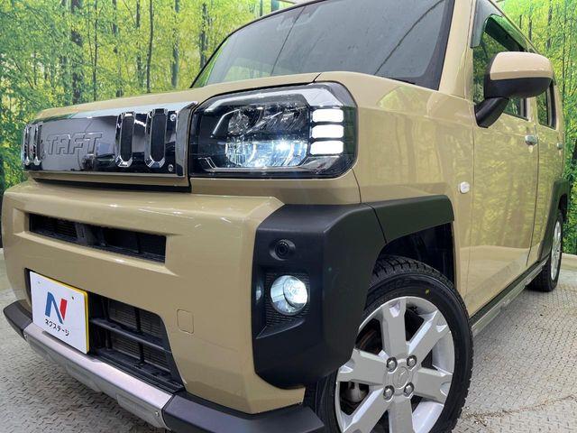 タフト（新潟県新潟市南区）画像12