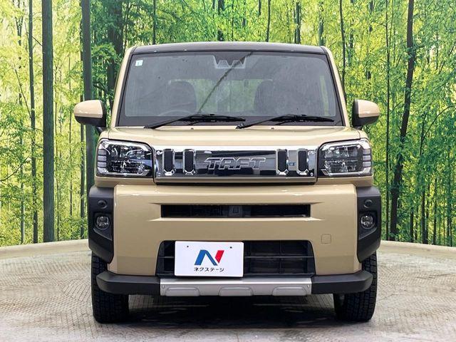 タフト（新潟県新潟市南区）画像14