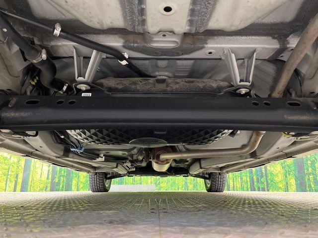 タフト（新潟県新潟市南区）画像19