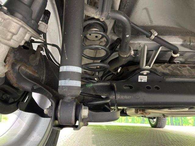 タフト（新潟県新潟市南区）画像21