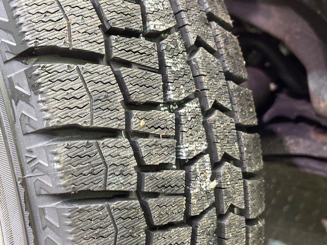 タフト（新潟県新潟市南区）画像26