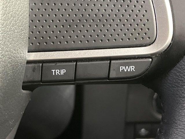 タフト（新潟県新潟市南区）画像51