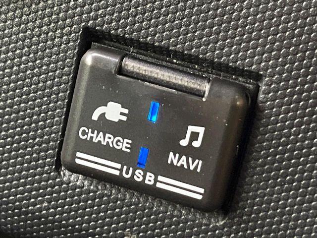 タフト（新潟県新潟市南区）画像57