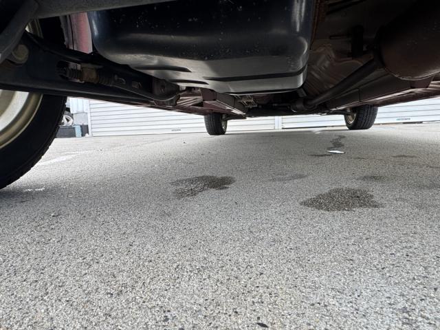 デイズルークス（新潟県新潟市西区）