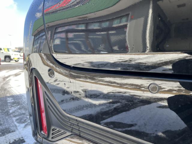 デイズ(新潟県新潟市西蒲区)