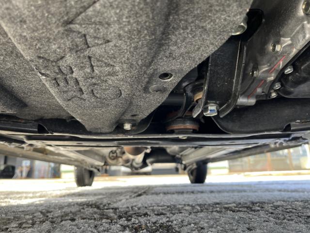 デイズ(新潟県新潟市西蒲区)