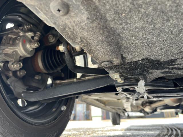 デイズ(新潟県新潟市西蒲区)