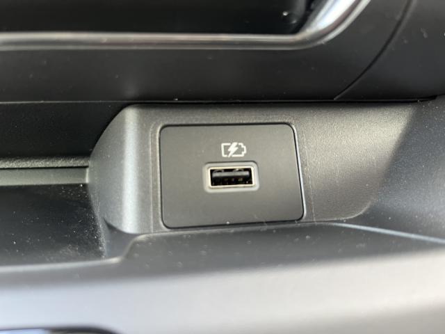 デイズ(新潟県新潟市西蒲区)