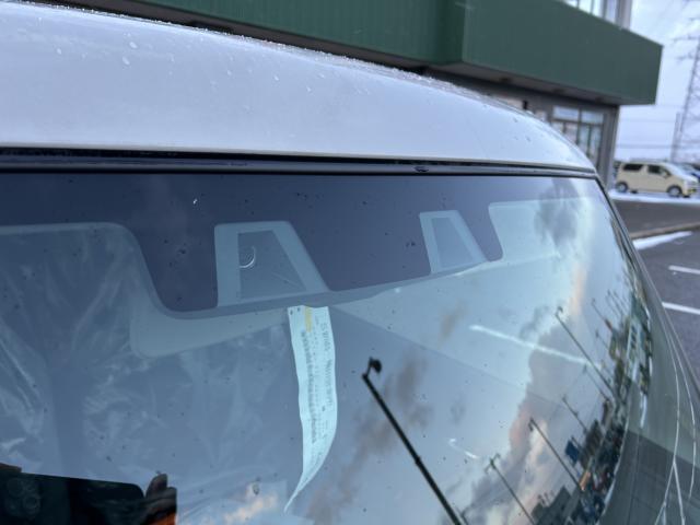 ハスラー（新潟県新潟市西蒲区）