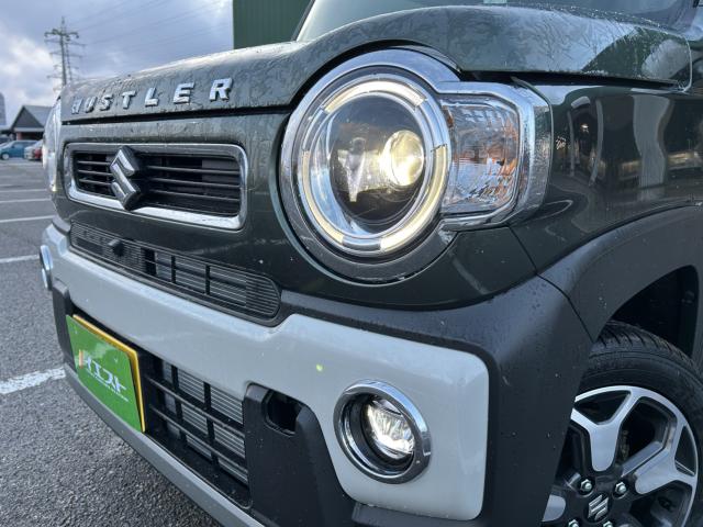 ハスラー（新潟県新潟市西蒲区）