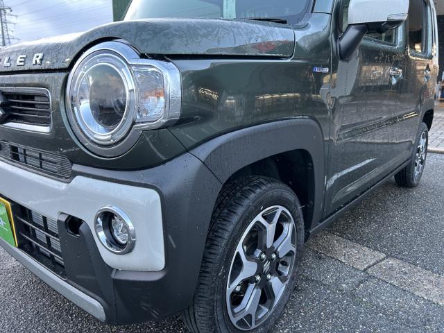 ハスラー（新潟県新潟市西蒲区）